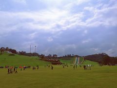 -衢州飞鸿滑草场