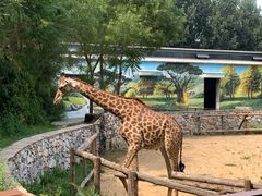 -北京野生动物园