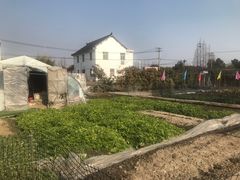 -小鱼草莓采摘园农家乐·小鱼餐厅