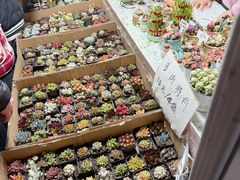 -沙洲路步行街(长安南路店)