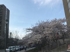 -宾夕法尼亚大学沃顿商学院