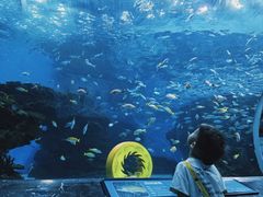 -海合安成都极地海洋公园