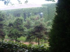 -南戴河旅游度假区