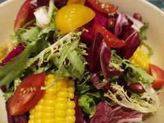 -紫光园·烤鸭(吕家营店)