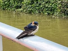 -宝晶宫旅游景区