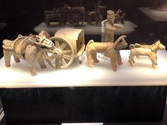 -荆州博物馆