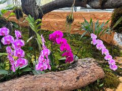 -国家植物园南园