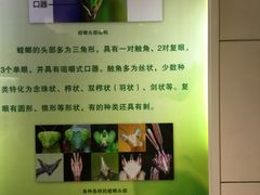 -上海昆虫博物馆