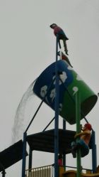 -珍珠泉水上世界