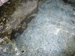 -河源客天下-温泉小镇