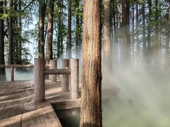 -东湖落雁景区