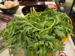 蓬蒿菜-颐品居涮肉(乌鲁木齐中路店)