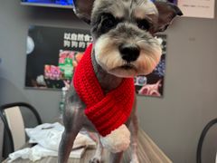 -宠物家(双井店)