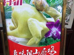 -渔鸽皇酒楼(鸿大广场店)