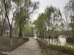 -西安浐灞国家湿地公园