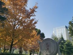 -后襄河公园
