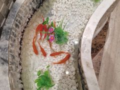 -阿五黄河大鲤鱼(纬三路店)