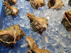 大海螺-79号渔船海鲜饭店(华强北店)