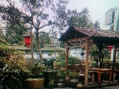 -青城甲(青城山店)