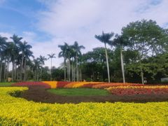 -广州市白云山风景名胜区