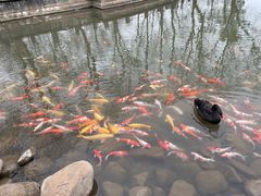 -万佛湖风景区