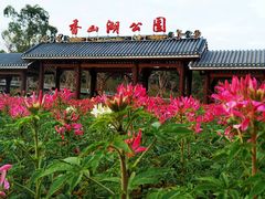 -香山湖公园