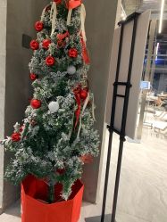 点击看大图 -PIONEER·韩式