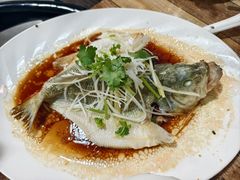 -东鸽皇(奥园·中环广场店)