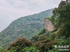 -北京鹫峰国家森林公园