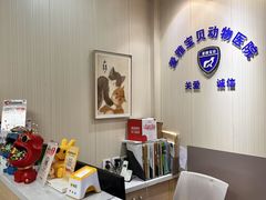 -中农大我爱我爱24h动物医院·中医针灸·猫专科·骨科医疗中心(双井店)