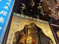 -普陀山风景名胜区-法雨禅寺