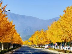 -北京市车辆管理所京海分所