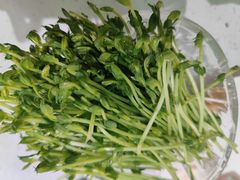 豆苗-青花椒花椒鱼(合生汇店)