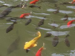 -宁波市保国寺古建筑博物馆