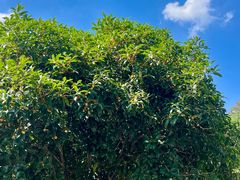 -杭州西湖风景名胜区-满觉陇四眼井