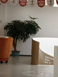 -杭州整形医院·国际部