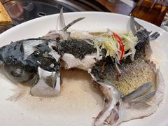 清蒸青斑-鼎盛私厨·新派顺德菜(上河坊店)