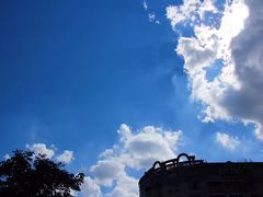 -莫奈花园法式蛋糕