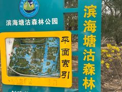 -塘沽森林公园
