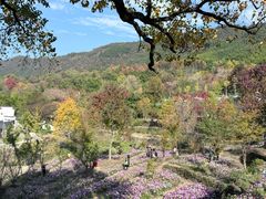 -塔川景区