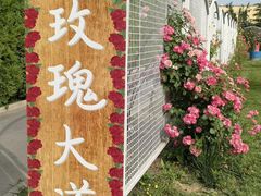 -太阳宫公园
