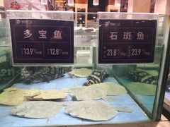 -旺顺阁海鲜广场(亚运村店)