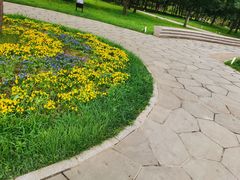 -长春公园(普阳街道)