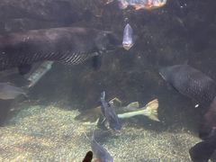 -太平洋海底世界