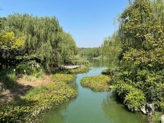 -贡湖湾湿地公园