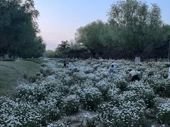 -汉长安城未央宫国家考古遗址公园