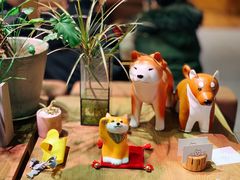 -柴务处·柴犬主题狗咖