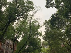 -飞马旅黎黄陂路文旅街区
