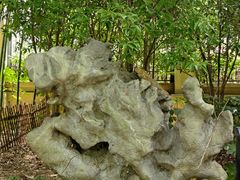 -陈家山荷花公园