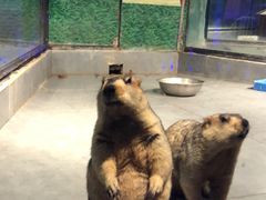 -荆州中山公园动物园